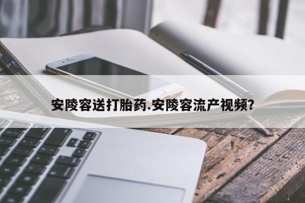 流产药微信购买联系方式安陵容送打胎药.安陵容流产视频？