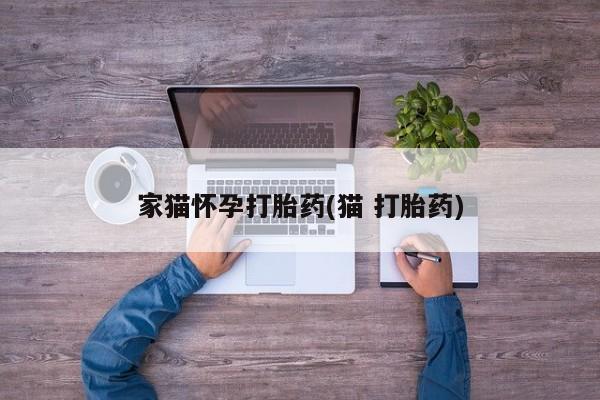 流产药微信购买联系方式家猫怀孕打胎药(猫 打胎药)